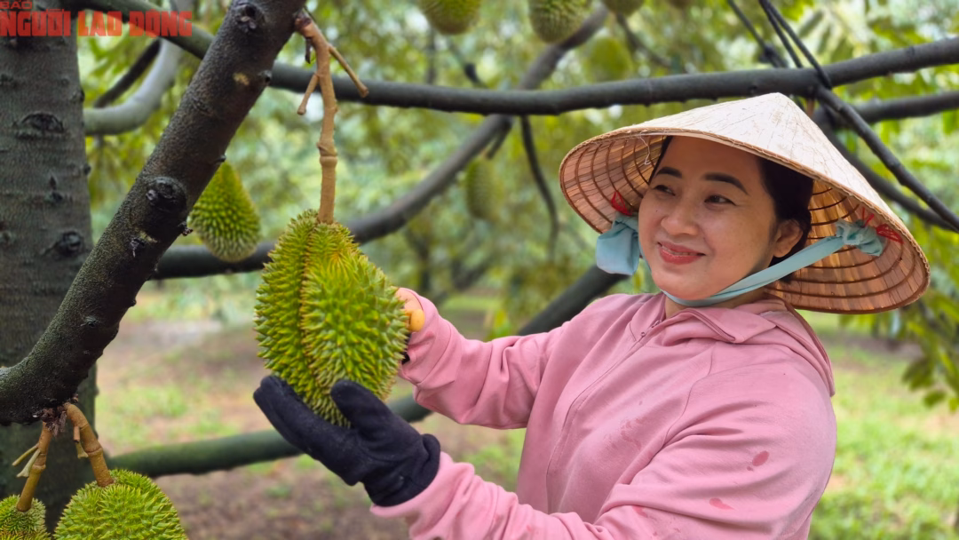 Bà Trinh Bà Trinh vỡ òa khi sầu riêng được biết đến