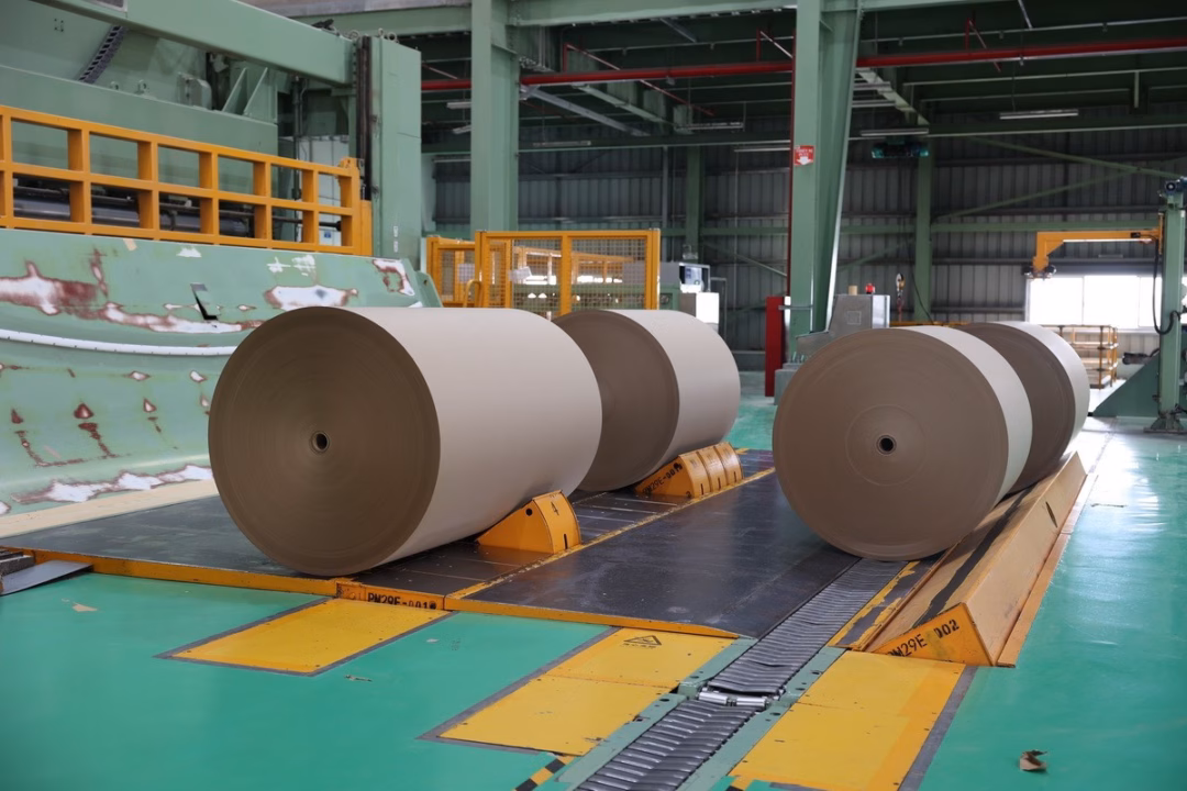 Sản phẩm của Công ty Trách nhiệm hữu hạn Kraft of Asia Paperboard & Packaging (KOA)
