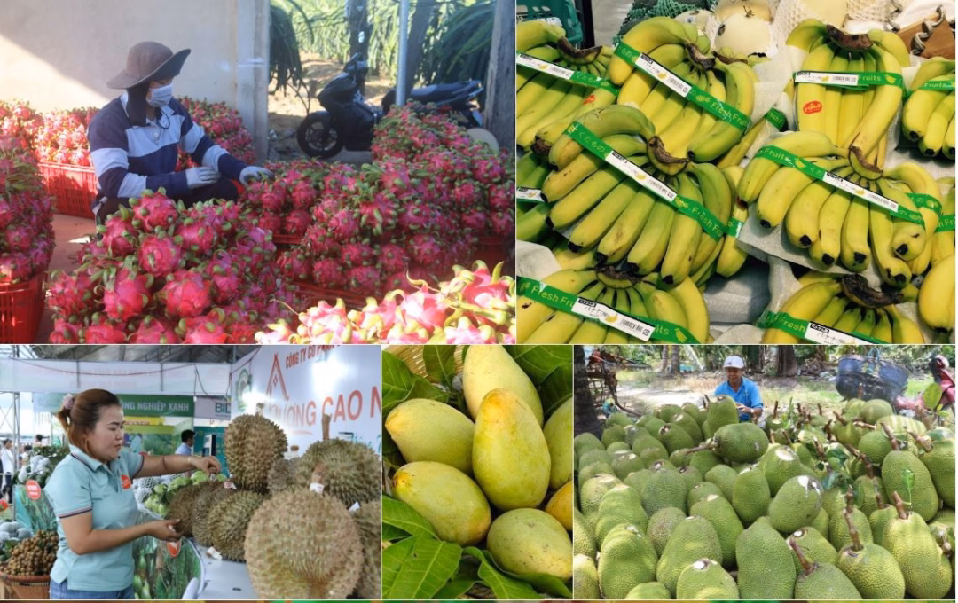 Nông sản Việt Nam vươn xa Nông sản Việt Nam được quảng bá rộng rãi trên các phương tiện truyền thông.