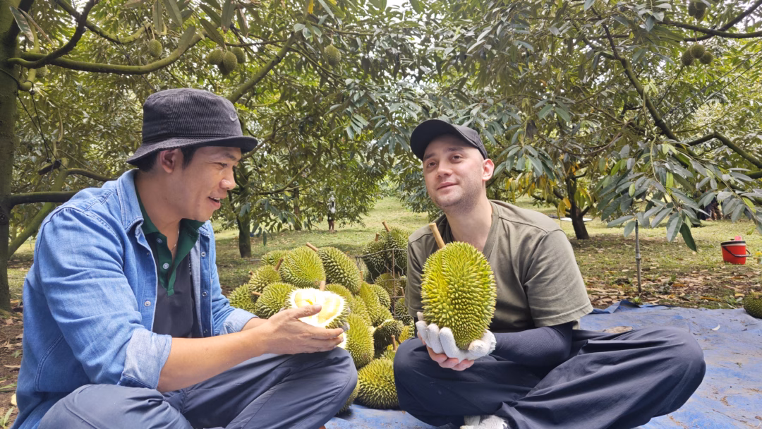 Khám phá sầu riêng Sáu Hữu Nhà sáng tạo nội dung khám phá sầu riêng Sáu Hữu tại vườn
