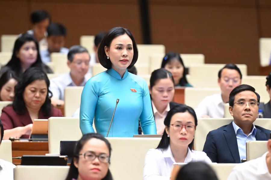 Đại biểu Trần Thị Hồng Thanh Đại biểu Trần Thị Hồng Thanh