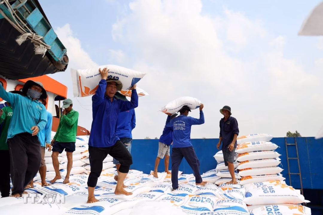 Bốc xếp gạo xuất khẩu Bốc xếp gạo xuất khẩu
