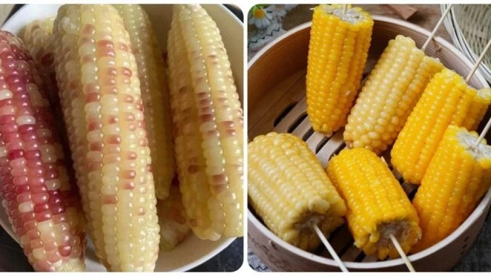 Ăn ngô vào bữa sáng, nên hay không?