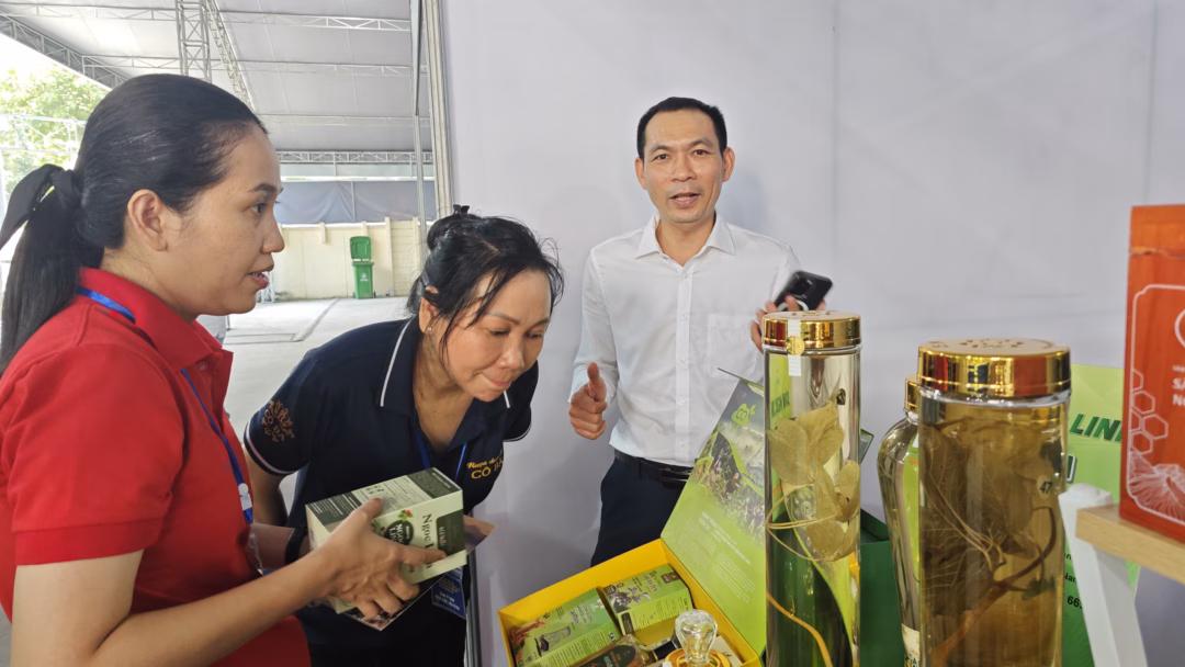 Sâm Ngọc Linh chế biến
