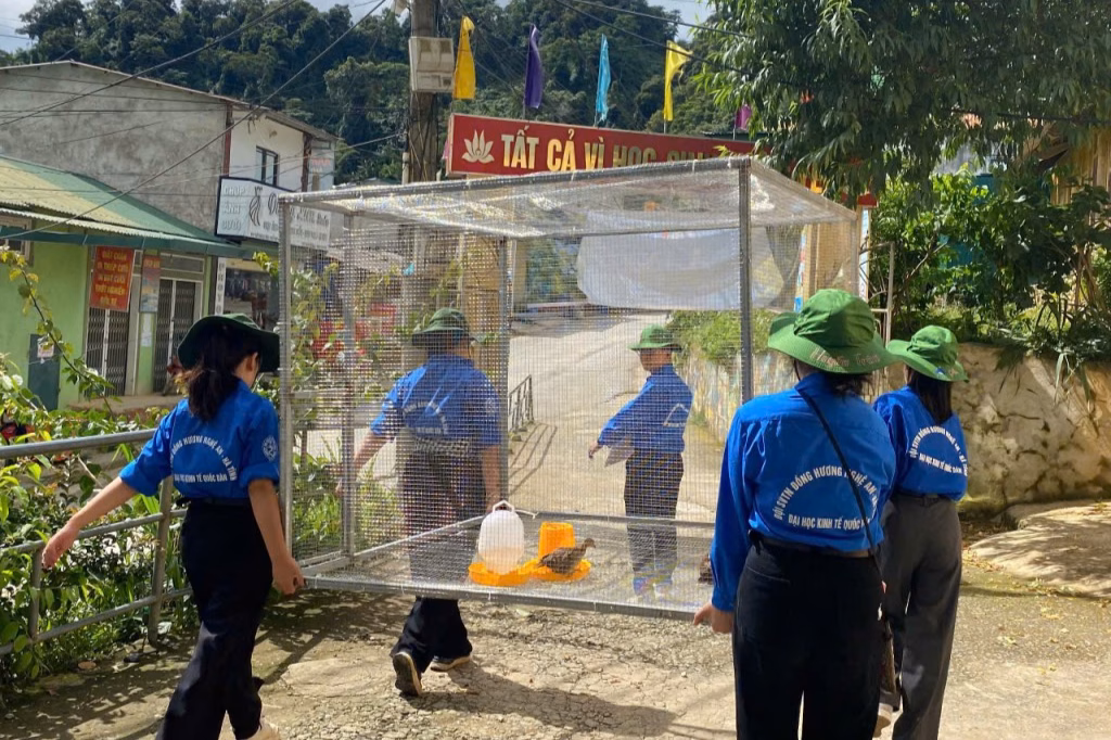 Sinh viên Kinh tế Quốc dân làm nên thay đổi tích cực cho vùng đất khó khăn Huồi Tụ Chuyển giao mô hình kinh tế nuôi chim trĩ cho người dân