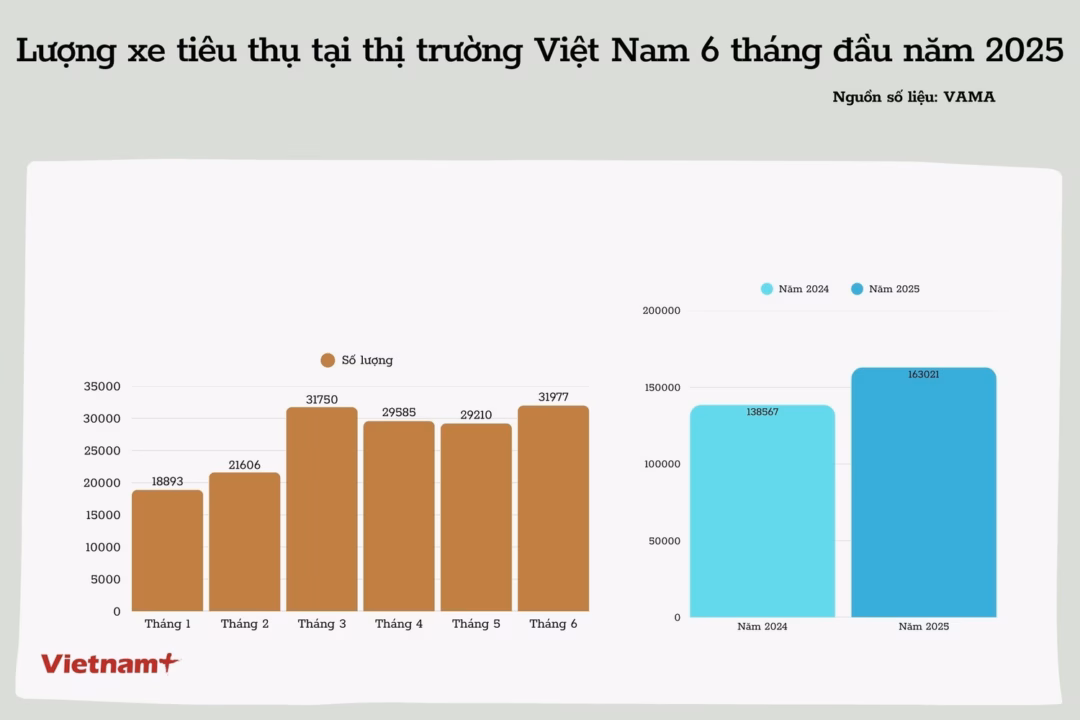 Doanh số thị trường ôtô của các thành viên VAMA trong 6 tháng đầu năm 2025