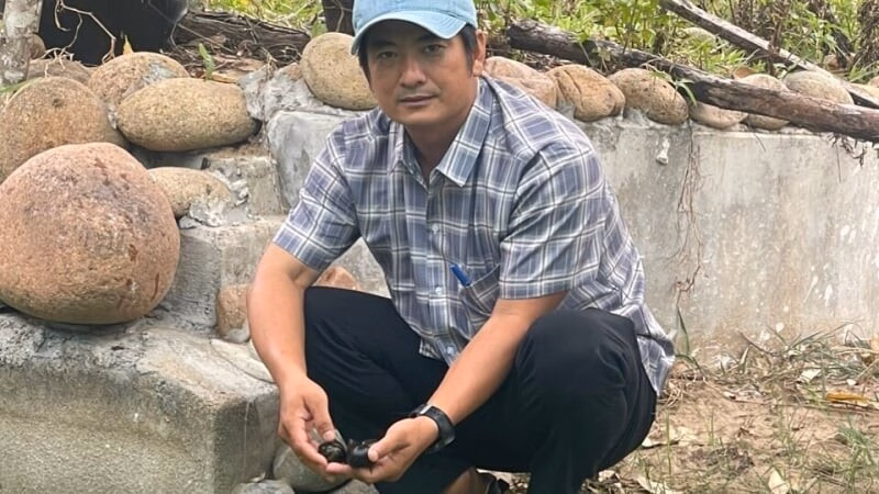 Một đàn cá khổng lồ tự nhiên đến bến sông Tiền ở tỉnh Đồng Tháp (mới), dân chăm bẵm như nuôi con