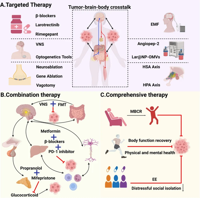 Ung thư đang thay đổi cách chúng ta hiểu về cơ thể: Nghiên cứu mới về mối liên hệ não-tumor Fig. 5