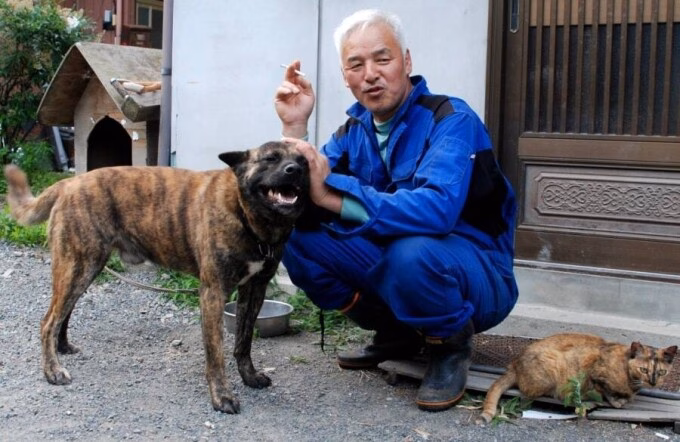 Công việc hàng ngày của ông Naoto Matsumura phần lớn chăm sóc động vật bị bỏ lại tại thị trấn Tomioka, tỉnh Fukushima, Nhật Bản. Ảnh: Keiko Nasu/Facebook