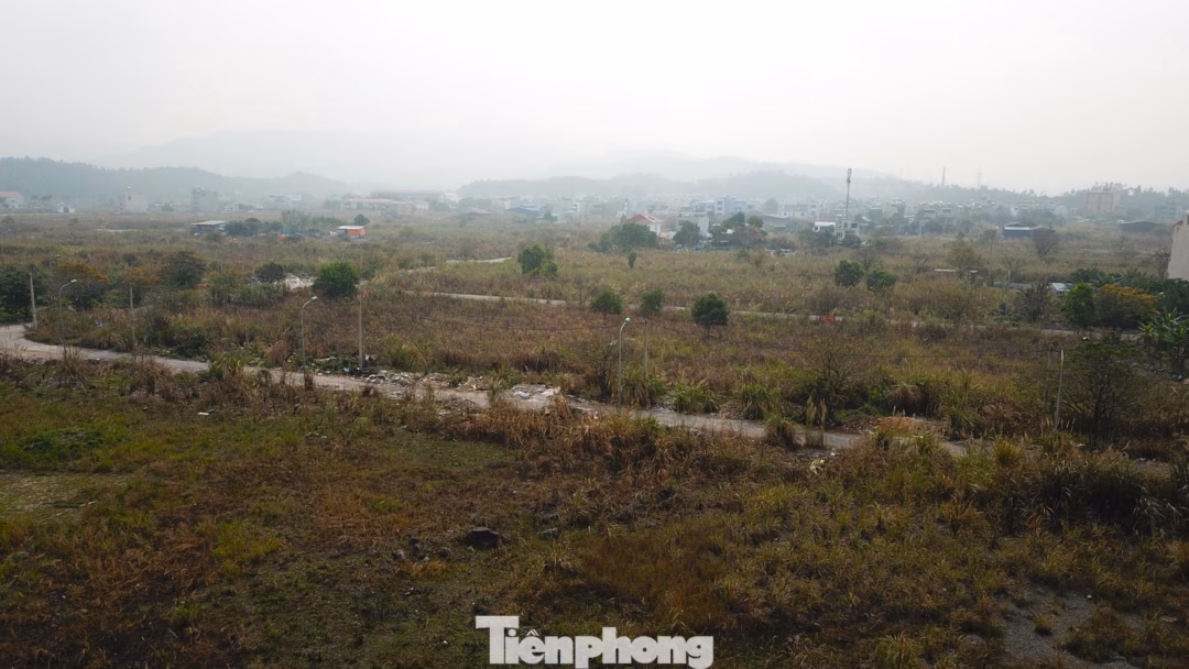 Dự &aacute;n Khu đ&ocirc; thị mới Cao Xanh, H&agrave; Kh&aacute;nh C bị kẹt hơn 20 năm