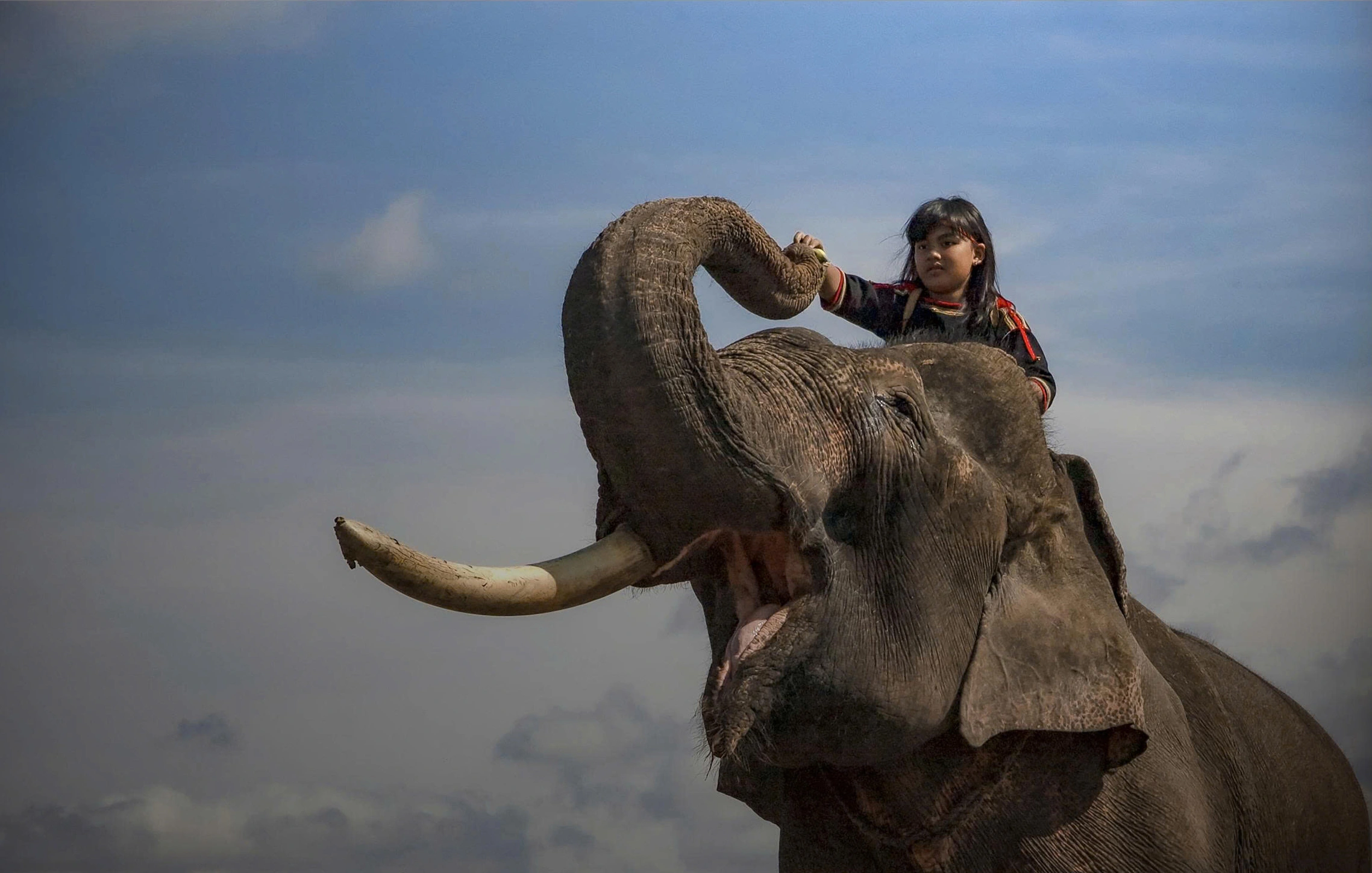 Tác phẩm Đôi bạn