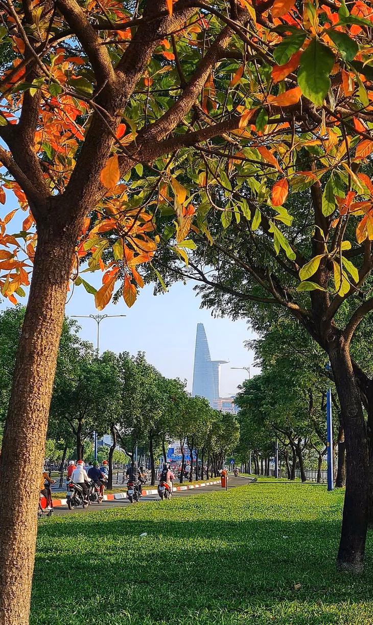 Mùa thay lá của tác giả Tào Lệ Hoa