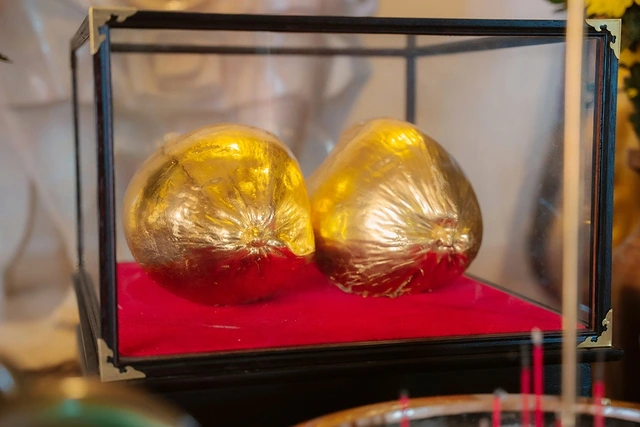 Hai trái dừa sáp dát vàng được trưng bày tại bảo tàng