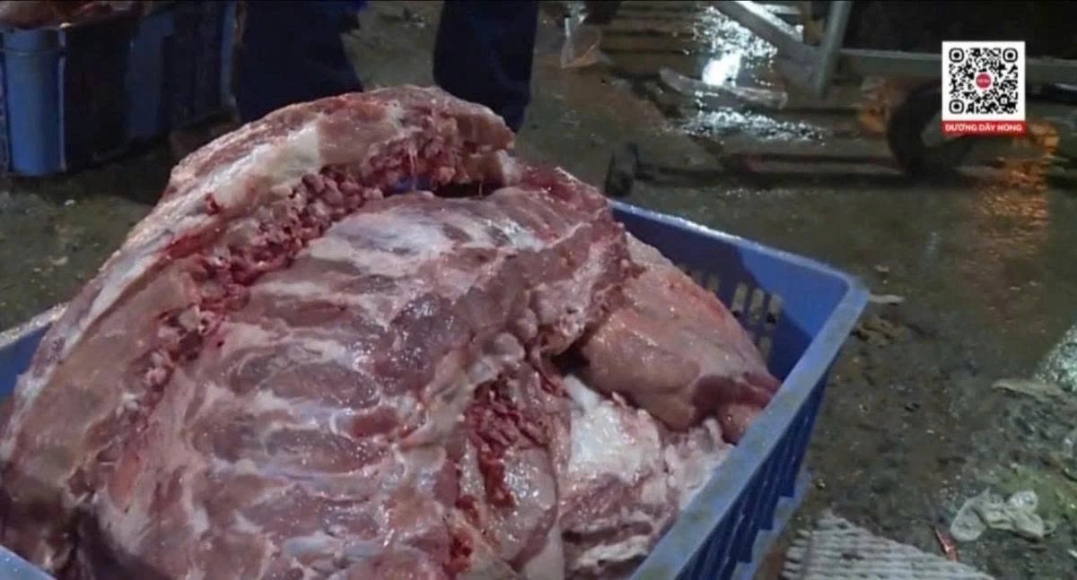 Cách nhận biết thịt nhiễm dịch tả lợn châu Phi