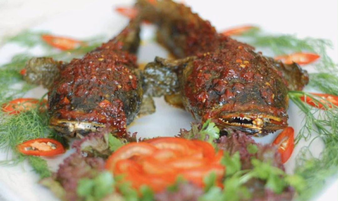 Cá có ngoại hình xấu xí, từng là đặc sản không ai dám thử nay lên giá 400 nghìn đồng/kg vẫn nhiều người săn lùng - 5