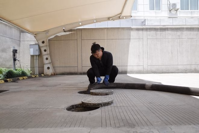 Công việc vất vả, người đầy mùi hôi nhưng thu nhập khá ổn. Ảnh: 163