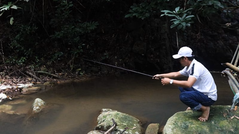 Chuyện thật ở An Giang, lên núi cao câu thứ cá lạ, trông như cá lóc mà đâu có phải cá lóc