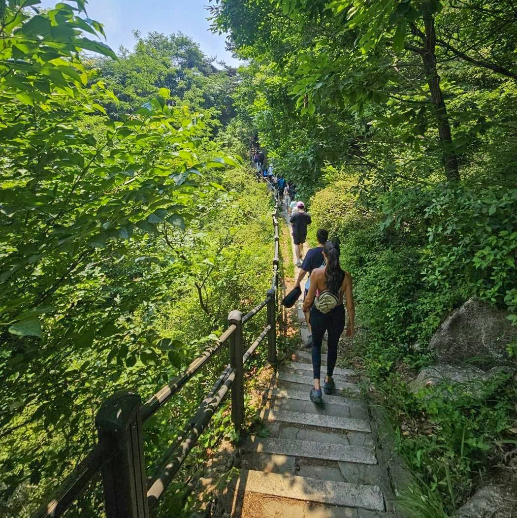 leo núi trong thành phố - xu hướng du lịch hút khách ở seoul hình ảnh 2