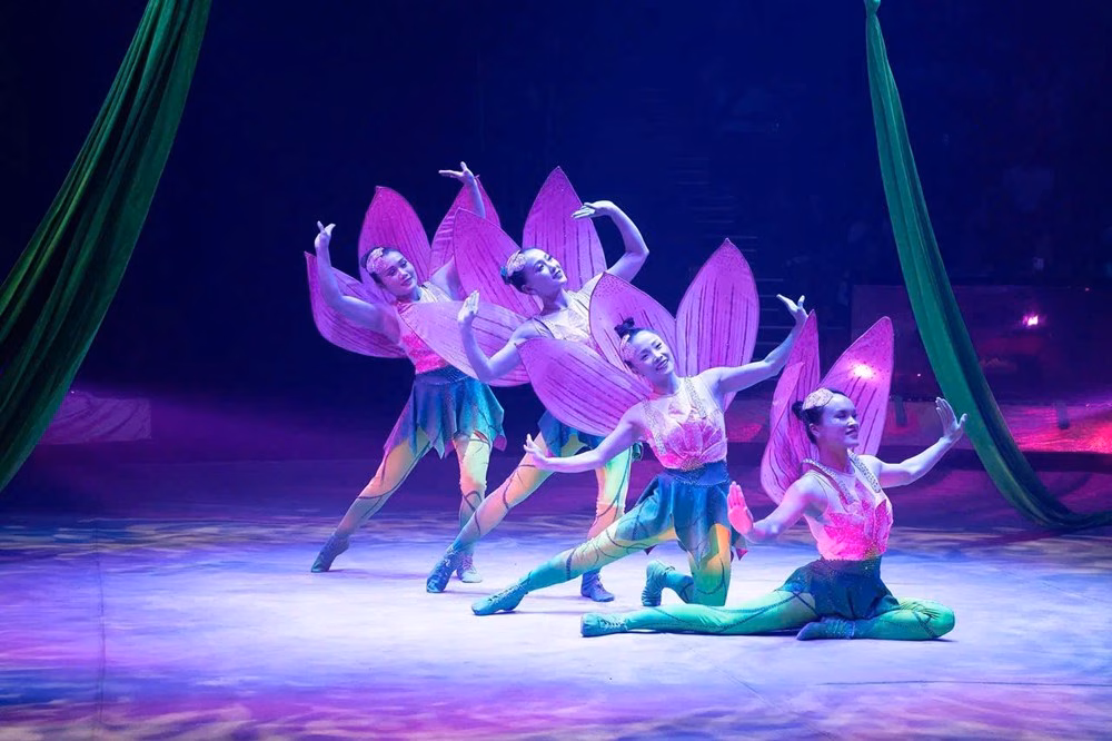 Liên đoàn Xiếc Việt Nam cần làm gì để ‘thanh xuân hoá’ đội ngũ nghệ sĩ? Xiếc Việt hội nhập bằng đẳng cấp nghệ sĩ - ảnh 4