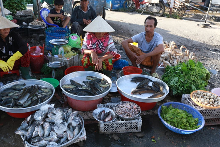 Mặc dù sản vật tự nhiên ngày nay đã giảm hẳn, Miệt Thứ vẫn rất nhiều thủy hải sản đánh bắt lẫn nuôi trồng - Ảnh: QUỐC VIỆT