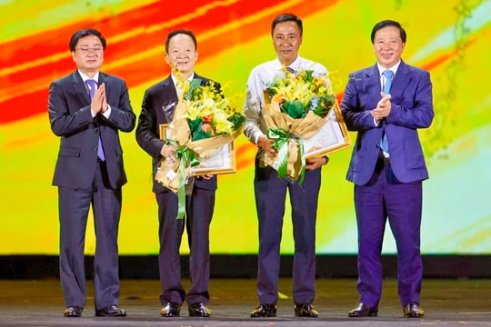 Tu bổ đình Đô Mỹ với 14,6 tỷ đồng để bảo tồn di sản lịch sử Đại nhạc hội T&T City Millennia – Bản tuyên ngôn Khơi mạch nguồn Di sản, Vững bước Kỷ nguyên mới