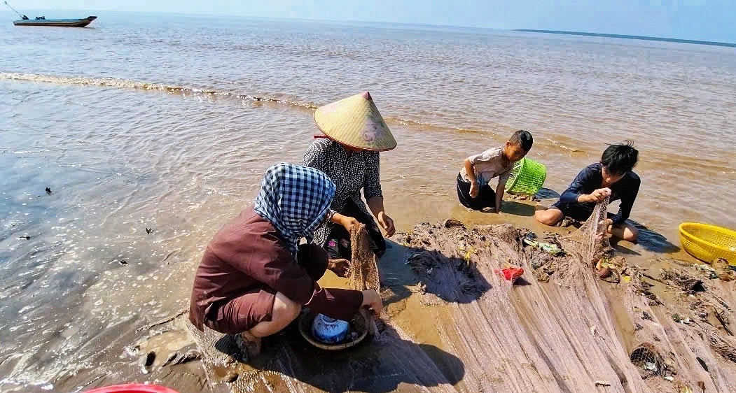 Du khách trải nghiệm các hoạt động ở bãi bồi Cù Lao Dung. Ảnh: Công ty TNHH Nhà hàng Khách sạn và Du lịch Hải Âu Cần Thơ