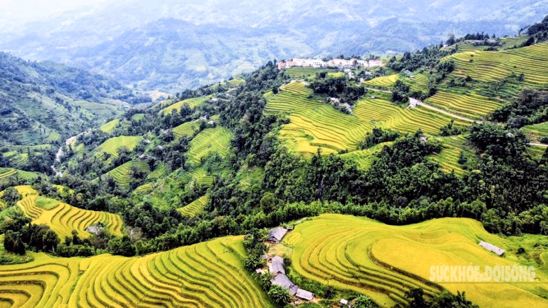 Mùa vàng Hoàng Su Phì bình yên giữa non cao Tây Côn Lĩnh