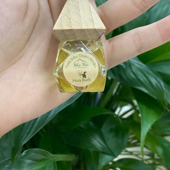 Tinh dầu treo xe ô tô có thực sự khử mùi hiệu quả hay chỉ là một chiêu trò quảng cáo?