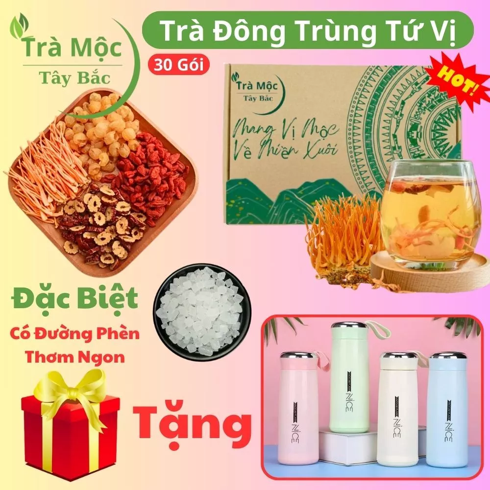 Làm sao để chọn Trà Đông Tứ Vị Thảo Mộc phù hợp với cơ địa và đạt hiệu quả tối ưu?