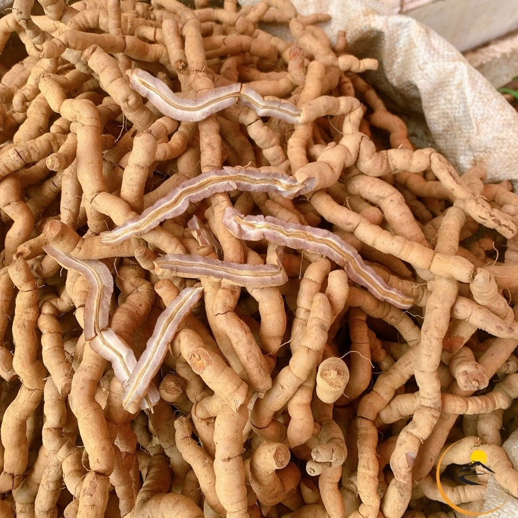 Làm thế nào để phân biệt củ ba kích tím rừng Quảng Ninh thật và giả để tốt cho thận?