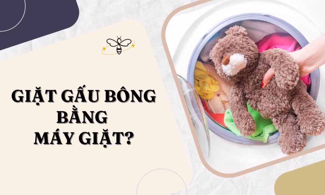 Tôi vừa mua gấu bông máy gắp về và đây là những điều bạn nên biết trước khi giặt nó