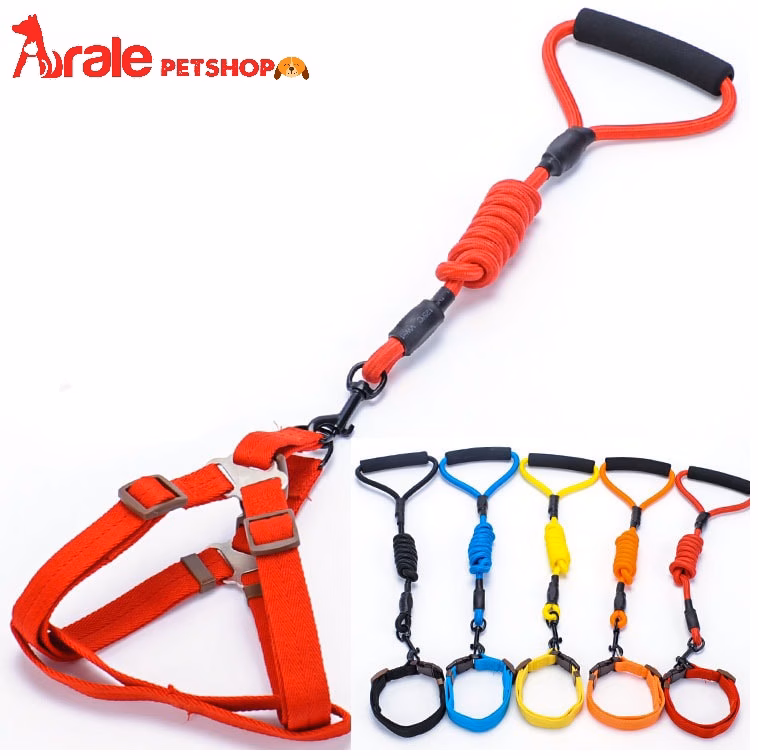 Làm thế nào để chọn dây dắt cho chó mèo phù hợp và tránh những sai lầm thường gặp