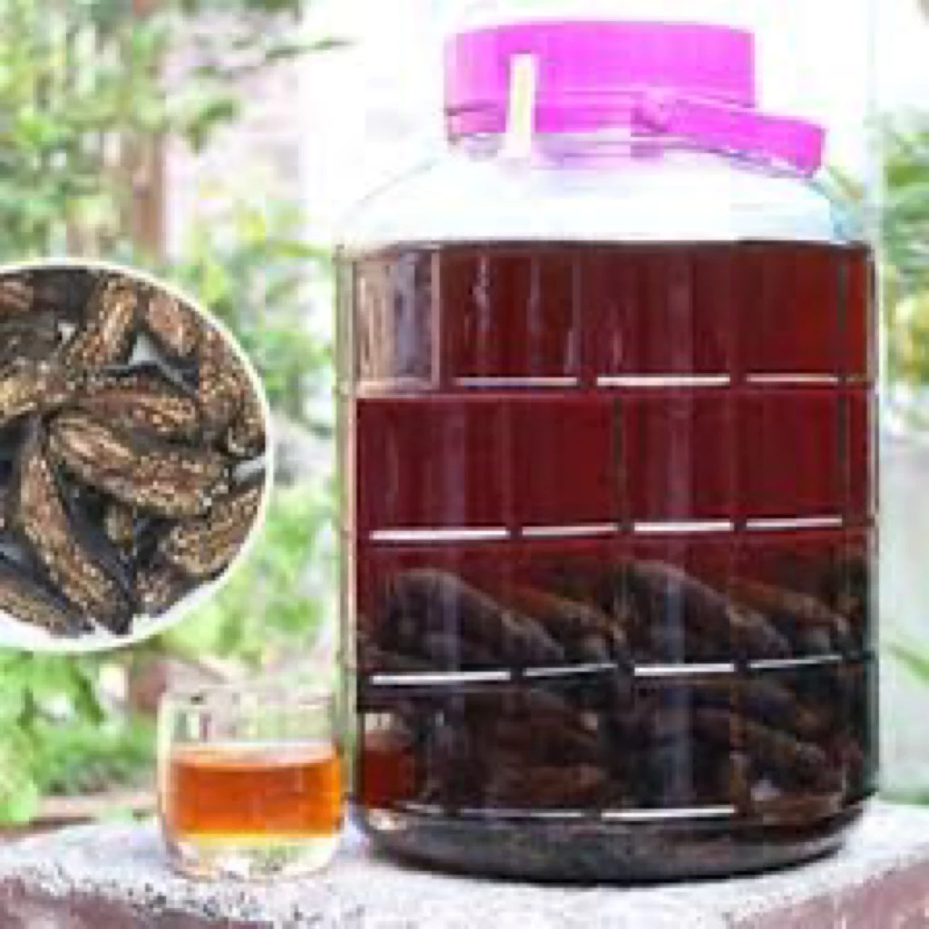 Rượu Ngâm Chuối Hột Uống Có Mấy Đau Đầu Như Truyền Thuyết?