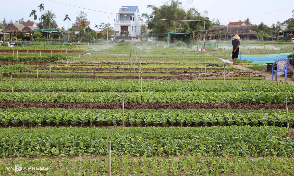 Khi người thuê đất chây ỳ: Chủ đất có quyền phá để đòi lại không?