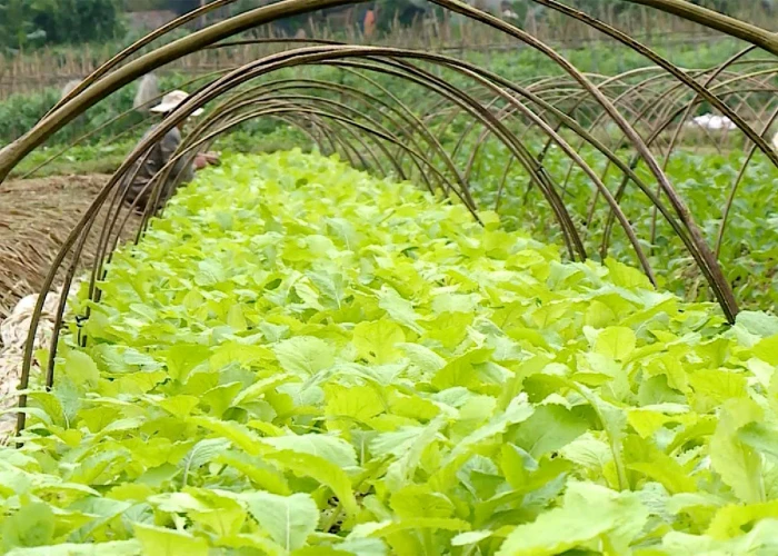 Bảo tàng công nghệ số: Nơi lưu giữ kỷ vật vượt thời gian