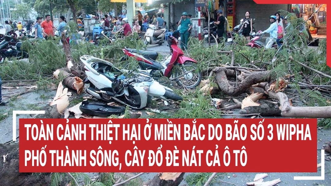 Bão Wipha gây thiệt hại nặng nề ở miền Bắc, Hà Nội có hơn 81.000 cú sét