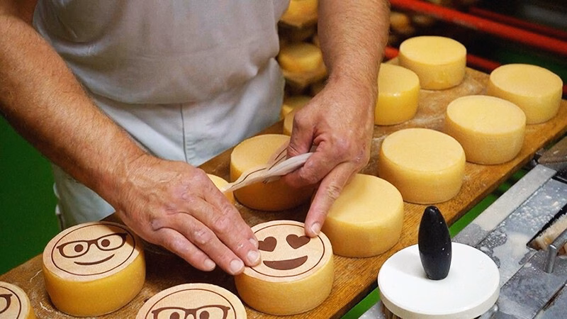 Công nghệ bảo tồn tê giác và khám phá không gian