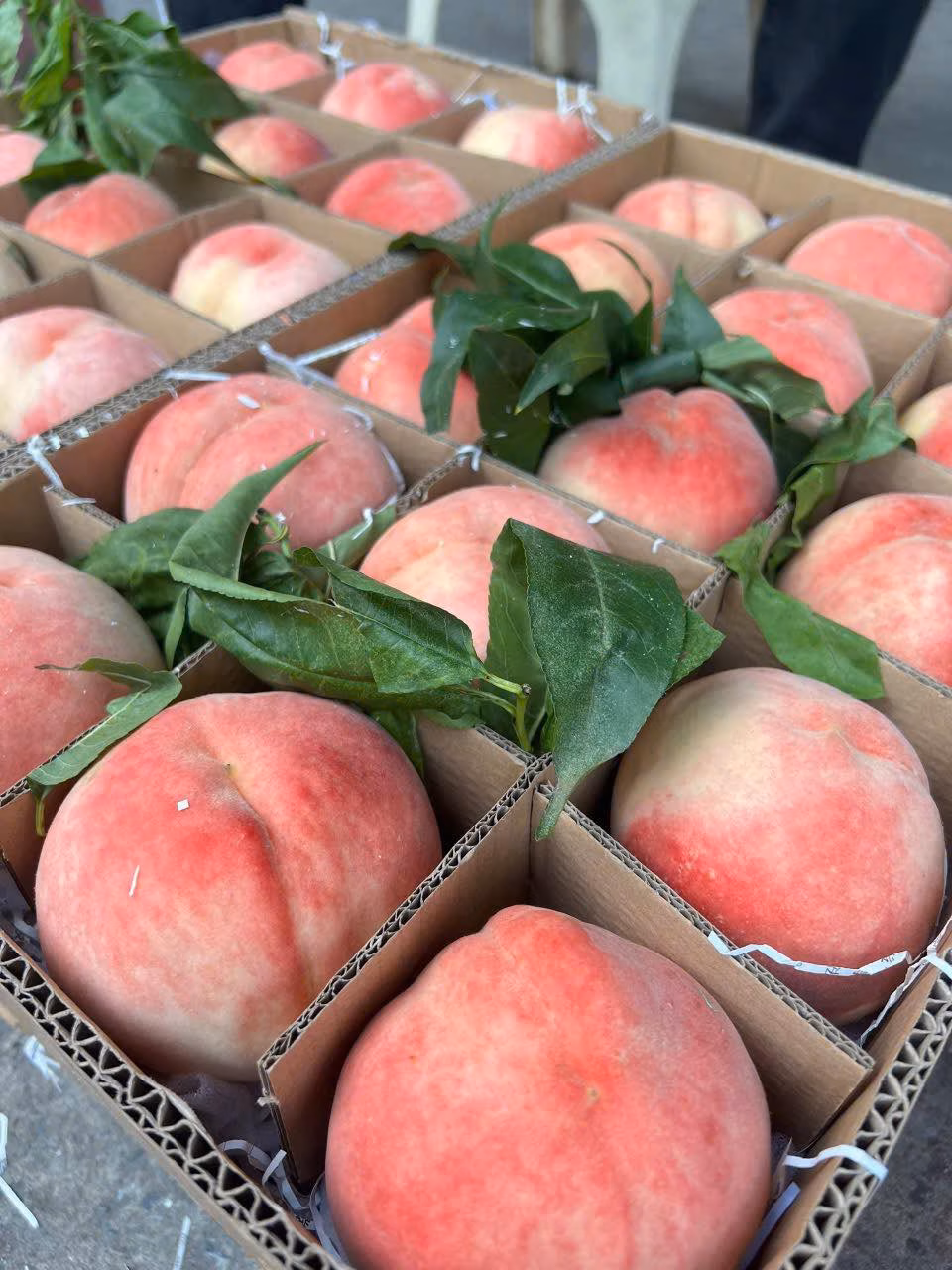 Đào Tiên Bắc Kinh Gây Sốt Thị Trường Việt Nam Với Giá Cao Cực Rẻ Theo chia sẻ của nhiều người bán hàng, đào tiên nhìn đẹp mã, giá cao nhưng rất khó bảo quản. Nếu để ở nhiệt độ thường, đào sẽ nhanh mềm, cũng nhanh hỏng nên thông thường tiểu thương sẽ nhập theo đơn khách đặt là chủ yếu, chỉ nhập dư ra khoảng vài thùng để bán cho khách mua lẻ phát sinh.