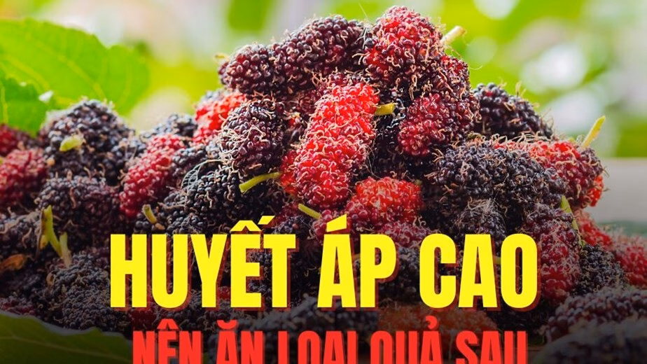 Dâu tằm – quả cứu tinh giúp hạ huyết áp cao hiệu quả