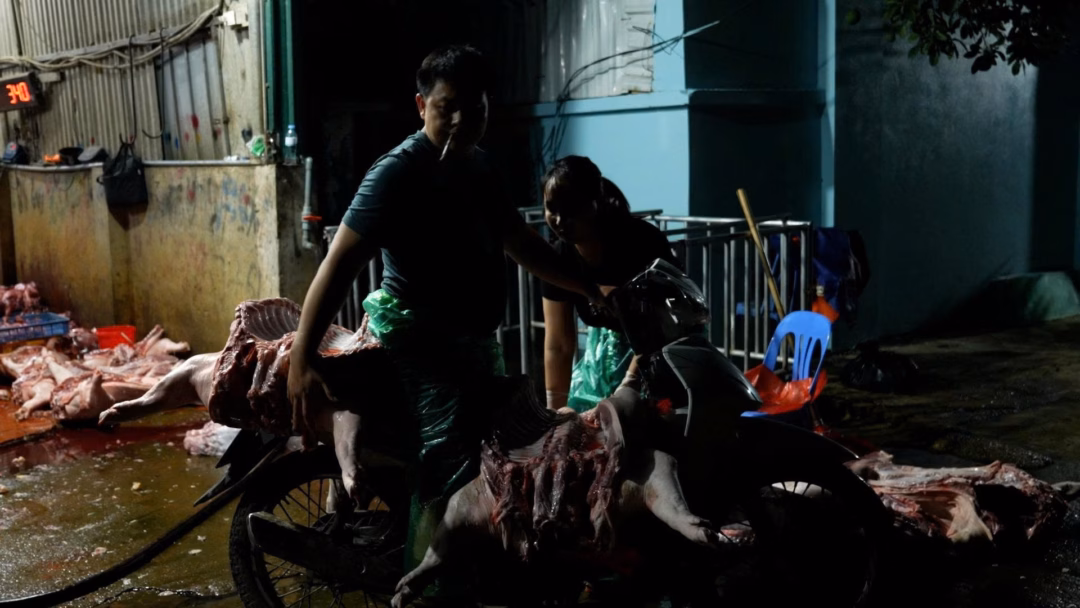 Dịch tả lợn châu Phi âm thầm lan rộng, nguy cơ bùng nổ dịch bệnh trong bữa ăn dịch tả châu Phi ảnh 3