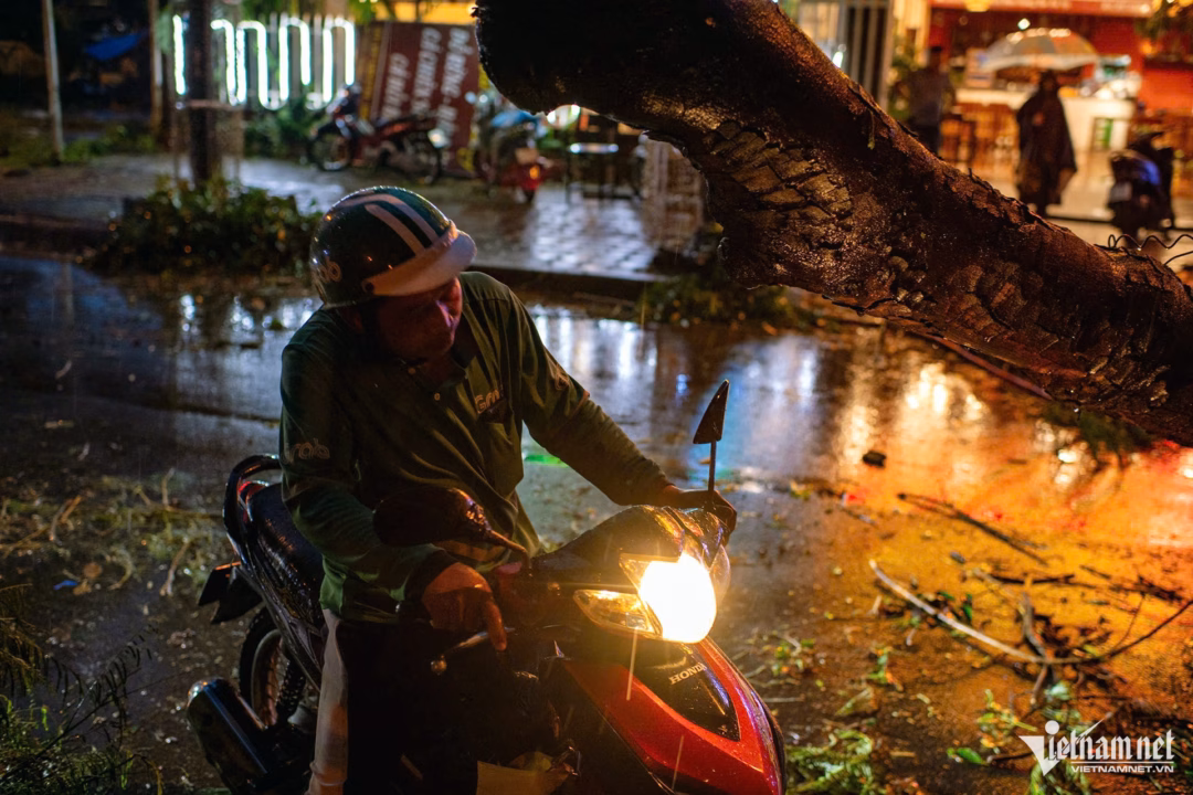 Hà Nội: Cây đổ, tôn bay sau cơn mưa lớn ở trung tâm Thủ đô Người đi đường phải lách qua khe hở dưới thân các cây đổ để đi qua.