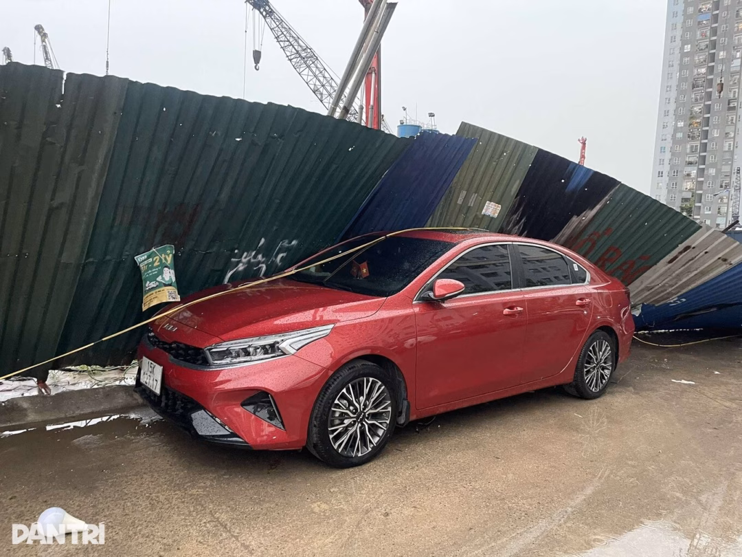 Hà Nội: Mưa dông lớn do bão Wipha gây ra hàng loạt sự cố về tài sản Cây đổ trên phố Lò Sũ (Ảnh: An Đăng - TTXVN).