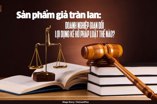 Hàng giả, hàng nhái lấn át thị trường: Thủ tướng ra chỉ đạo khẩn Bài 4: Sản phẩm giả tràn lan: Doanh nghiệp gian dối lợi dụng kẽ hở pháp luật thế nào?