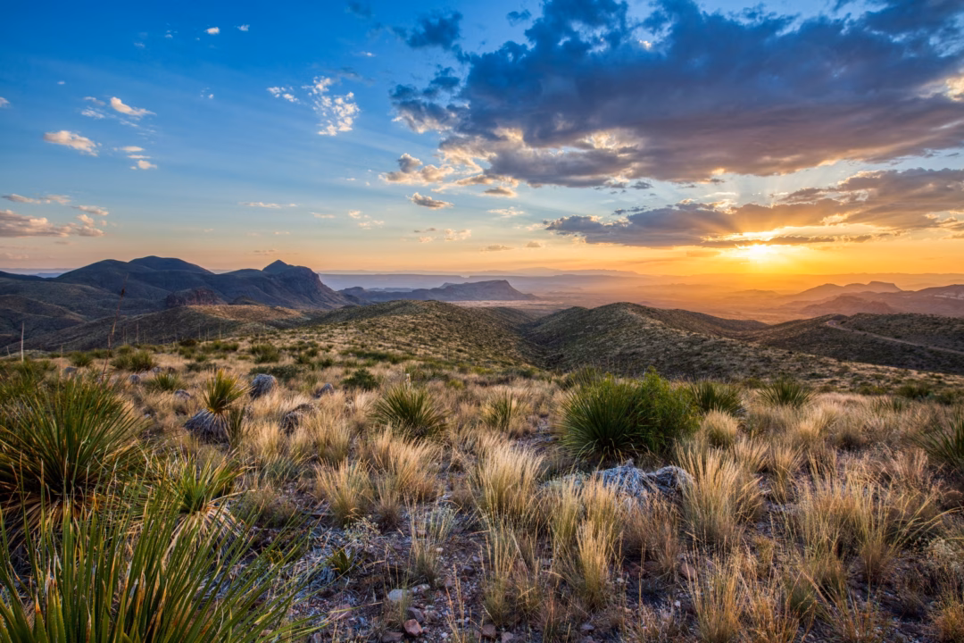 Khu vực Big Bend Texas – Thiên đường cho những người yêu thích hoạt động ngoài trời Big Bend National Park is one of the most biodiverse areas in the United States, with more species of birds, bats, and cactus than any other U.S. national park.