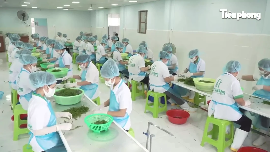 Kinh tế tư nhân – chìa khóa giúp Khánh Hòa bứt phá