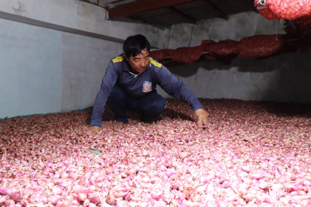 Nguồn vốn tín dụng ưu đãi giúp người dân Lý Sơn đa dạng hóa, phát triển sản xuất gắn với bảo vệ chủ quyền trên biển.
