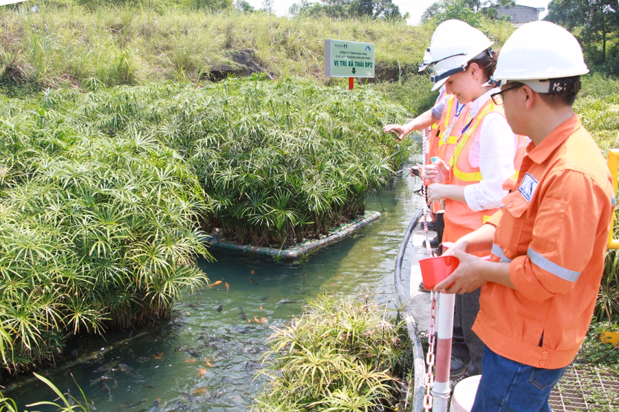 Khu vực bảo vệ môi trường tại Masan High-Tech Materials.