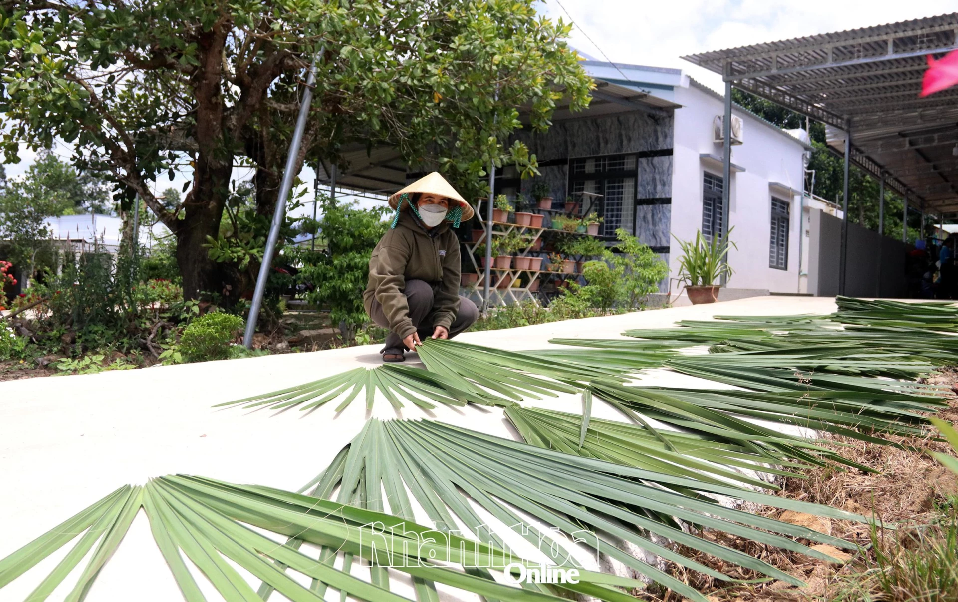 Phụ nữ dân tộc thiểu số đổi đời nhờ đan dây lá buông Người dân phơi lá buông.