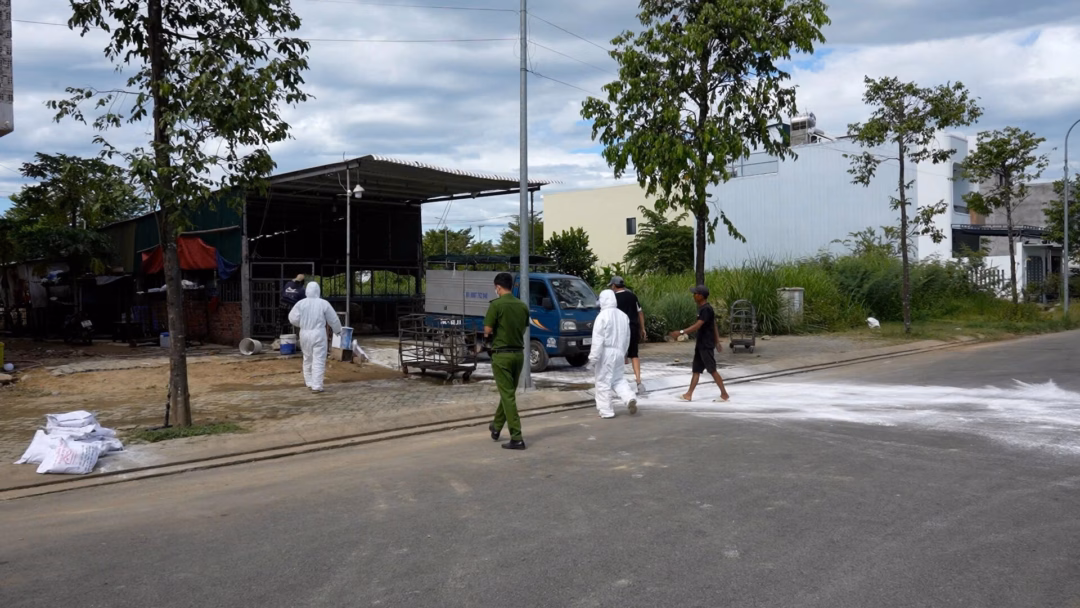 Quảng Ngãi: Phát hiện cơ sở thu gom vận chuyển hàng ngàn con heo bệnh không rõ nguồn gốc