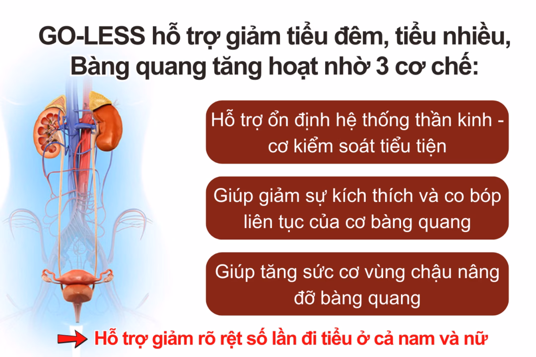 Bí đỏ ngăn tiểu đêm, tiểu nhiều lần như thế nào? Cảnh báo: Tiểu đêm có thể là dấu hiệu nguy hiểm của bệnh này – đừng bỏ qua! - 5